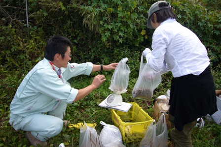 【岩手】収穫したむかごを測量.JPG