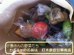 100816小島さんの野菜たち.jpg