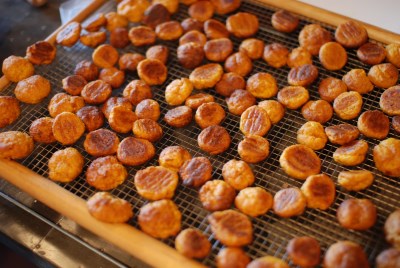 shien_mukago