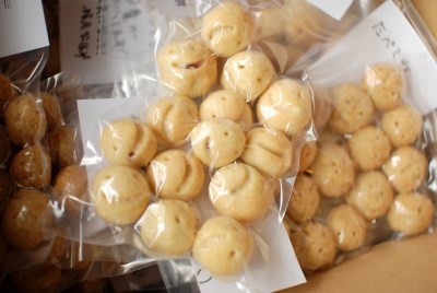 shien_mukago