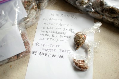 shien_natsuume