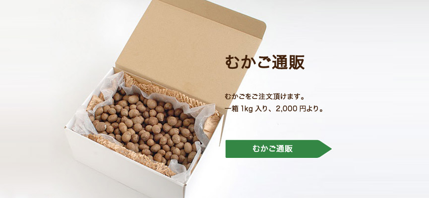 slider_mail-order