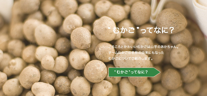 slider_mukago